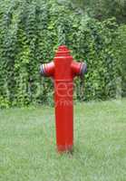 Red fire hydrant against a green lawn photo