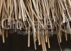 Close up straw background. Texture of straw photo
