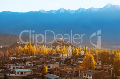 Leh city Ladakh Northern India