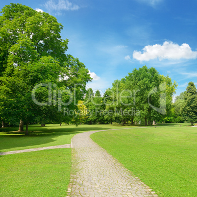 Beautiful meadow in the park