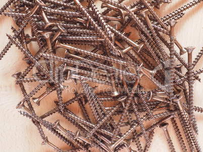 Wood screw