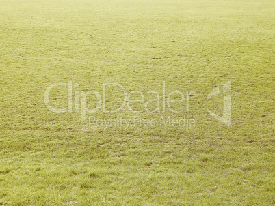 Retro looking Meadow background