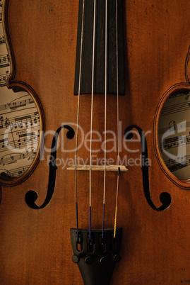 Rare old violin