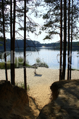 beautiful forest lake with sandy beach