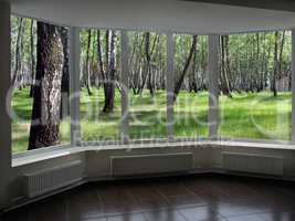 plastic windows overlooking the grove