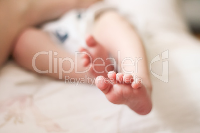 baby feet on white