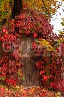 Leaf Fall door
