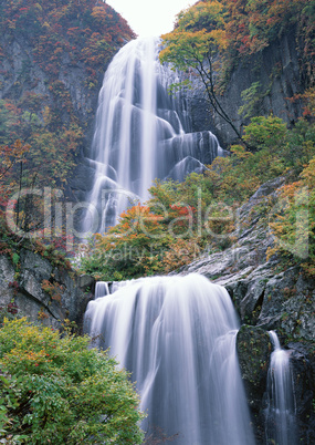 Streams of Mountains and Nature