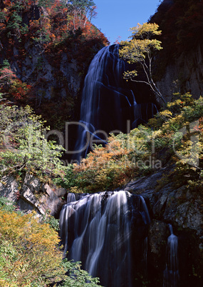 Streams of Mountains and Nature Streams of Mountains and Nature