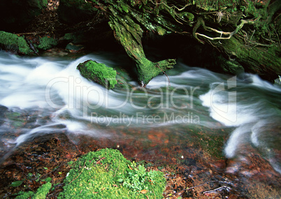 Streams of Mountains and Nature