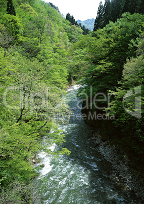 Streams of Mountains and Nature