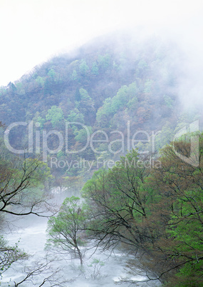 Streams of Mountains and Nature