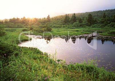 Streams of Mountains and Nature