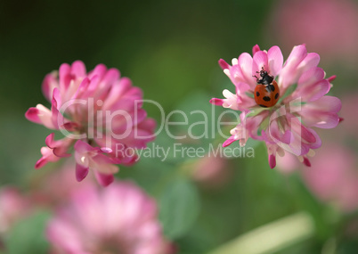 Seasonal Colors and Small Natural Scene Seasonal Colors and Small Natural Scene
