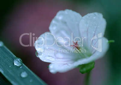 Seasonal Colors and Small Natural Scene Seasonal Colors and Small Natural Scene