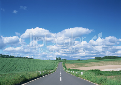 Roads With Landscapes