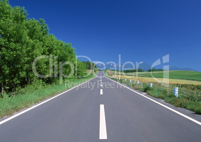 Roads With Landscapes