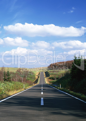 Roads With Landscapes