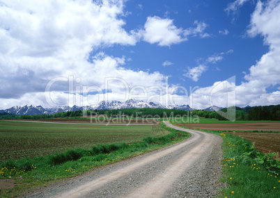 Roads With Landscapes