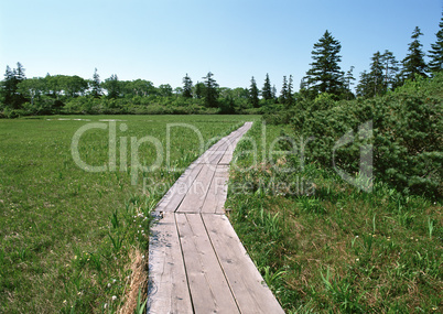 Roads With Landscapes