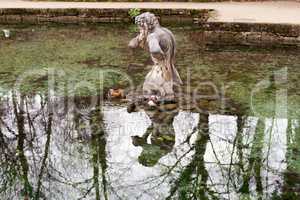 Salzburg, Österreich, 29.11.2015: Mandarinenten beim ausruhen vor einer Skulptur in einen Teich