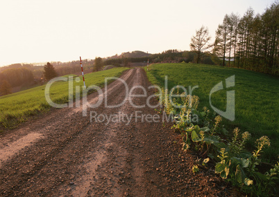 Roads With Landscapes