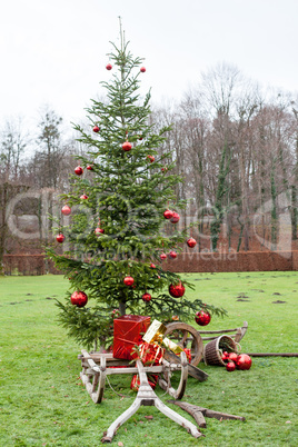 Altes Gestell eines Holzschlitten mit Weihnachtspakete vor einem dekorierten Tannenbaum
