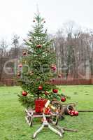 Altes Gestell eines Holzschlitten mit Weihnachtspakete vor einem dekorierten Tannenbaum