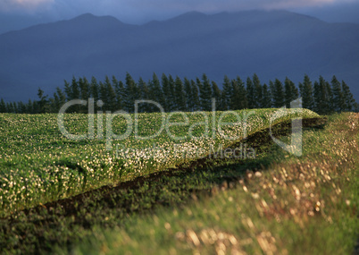 Roads With Landscapes