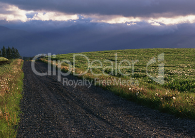 Roads With Landscapes