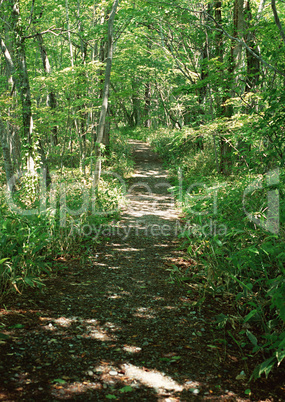 Roads With Landscapes