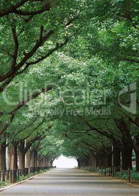 Roads With Landscapes