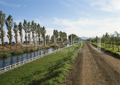 Roads With Landscapes