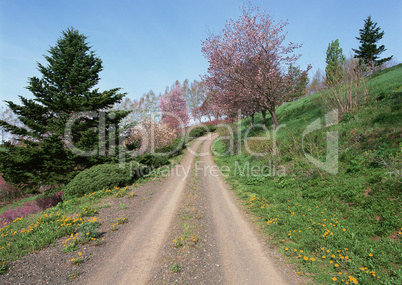 Roads With Landscapes