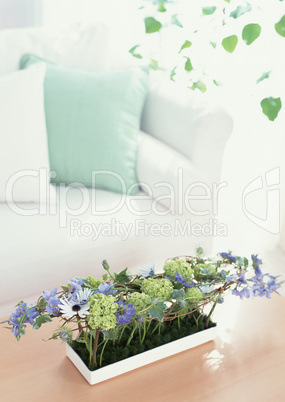 Lifestyle with Decorative Flowers