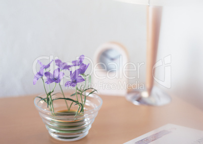 Lifestyle with Decorative Flowers