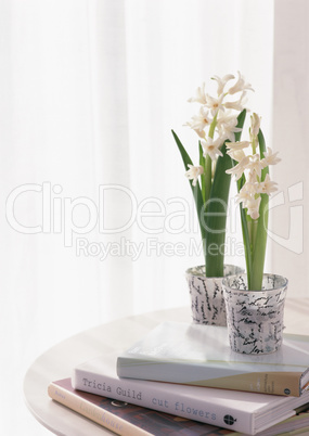 Lifestyle with Decorative Flowers