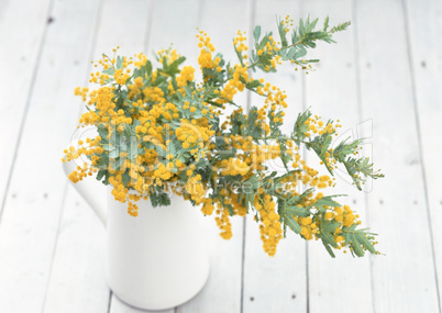 Lifestyle with Decorative Flowers Lifestyle with Decorative Flowers