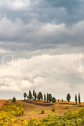 Fields in Tuscany