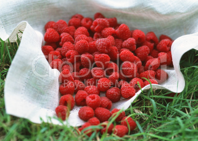 Natural Fruit Harvest