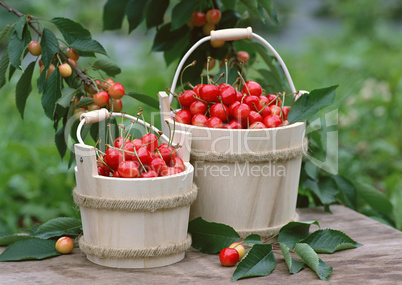 Natural Fruit Harvest