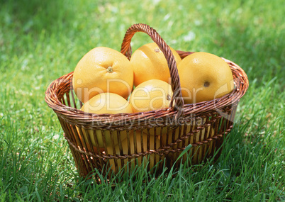 Natural Fruit Harvest