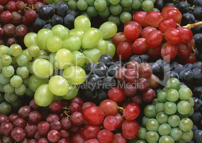 Natural Fruit Harvest