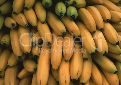 Natural Fruit Harvest