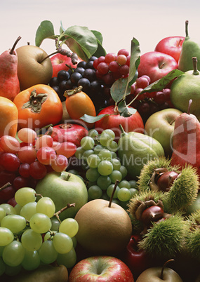 Natural Fruit Harvest