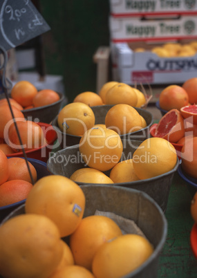 Natural Fruit Harvest