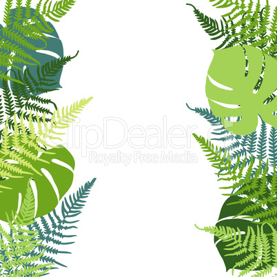 Fern and monstera background