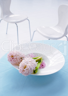 Flowers for Decoration