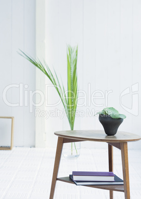 Plants and Herbs Interior Decoration