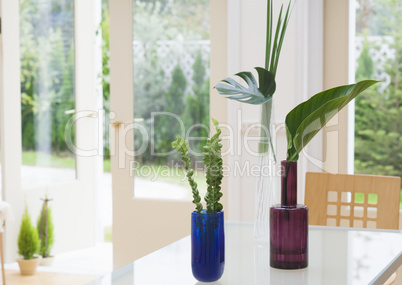 Plants and Herbs Interior Decoration